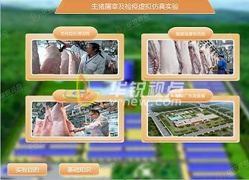 生豬屠宰及檢疫VR虛擬仿真實(shí)驗(yàn)軟件