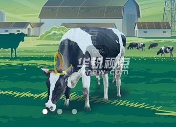 動(dòng)物養(yǎng)殖VR虛擬仿真教學(xué)實(shí)訓(xùn)系統(tǒng)
