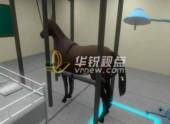 VR醫(yī)療教學(xué)課件之馬牛直腸手術(shù)